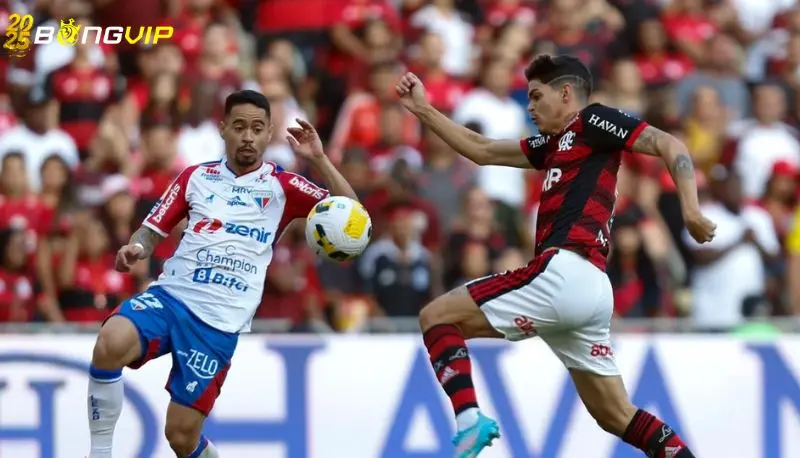 Soi kèo Flamengo vs Fortaleza - 04:30 - 02/06 giải Serie A Nhận định kèo Flamengo vs Fortaleza từ cao thủ
